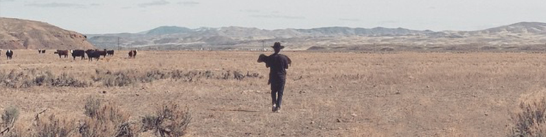 Blog_WalkAway_01